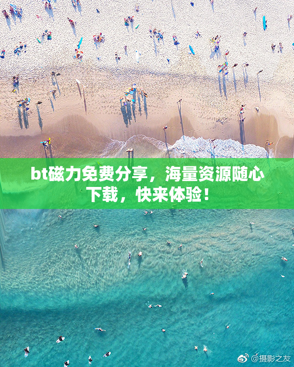 bt磁力免费分享，海量资源随心下载，快来体验！