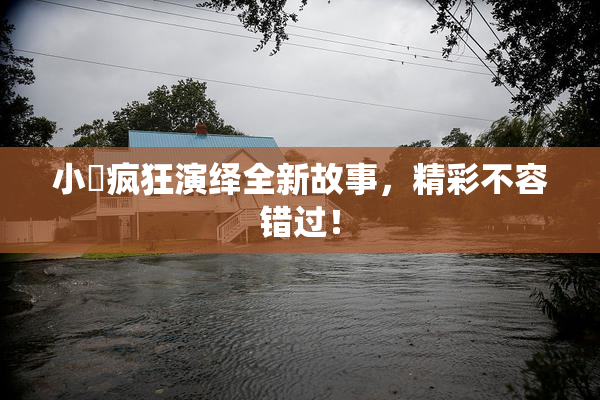 小泬疯狂演绎全新故事，精彩不容错过！