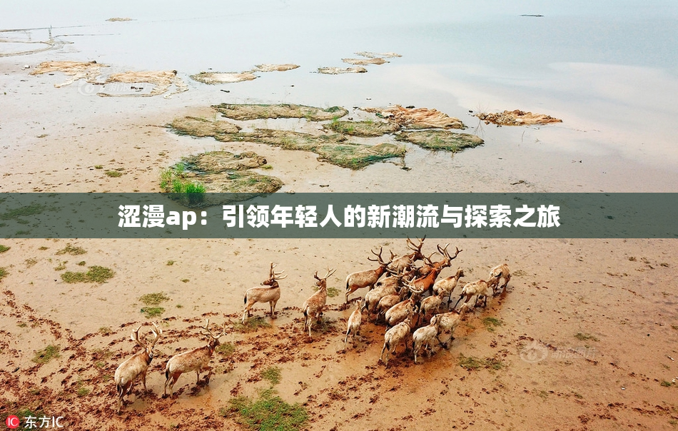 涩漫ap：引领年轻人的新潮流与探索之旅