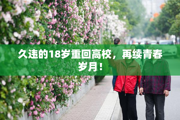久违的18岁重回高校，再续青春岁月！
