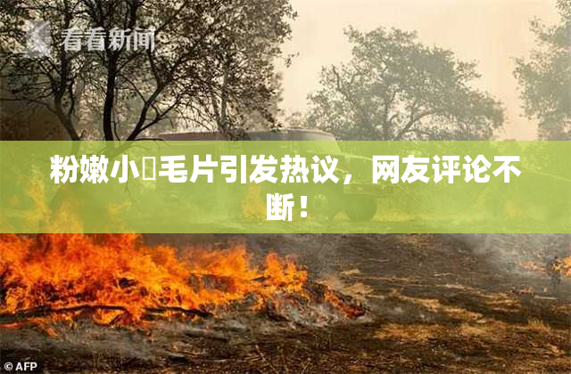 粉嫩小泬毛片引发热议，网友评论不断！