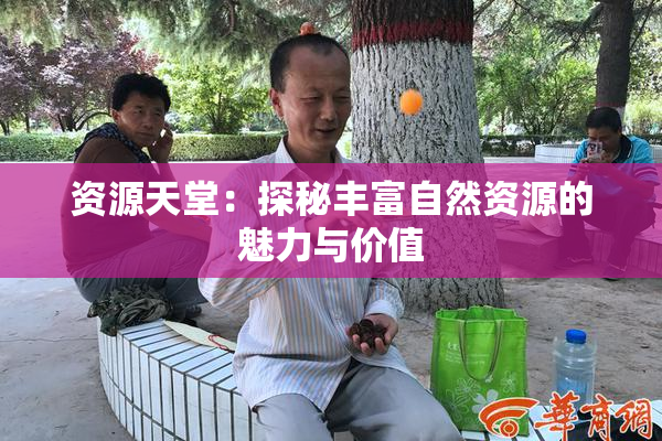 资源天堂：探秘丰富自然资源的魅力与价值