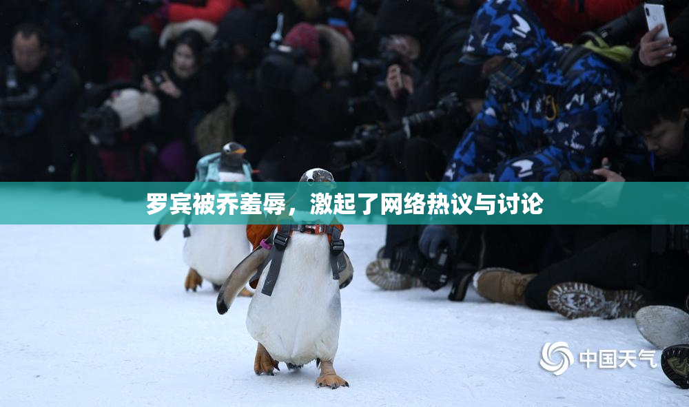 罗宾被乔羞辱，激起了网络热议与讨论