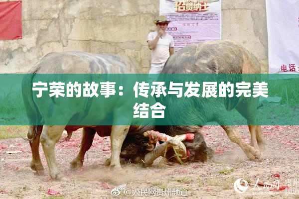 宁荣的故事：传承与发展的完美结合