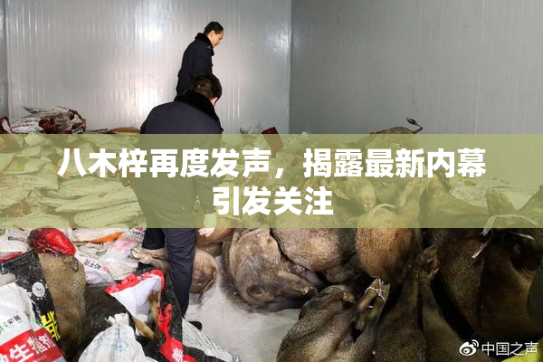 八木梓再度发声，揭露最新内幕引发关注