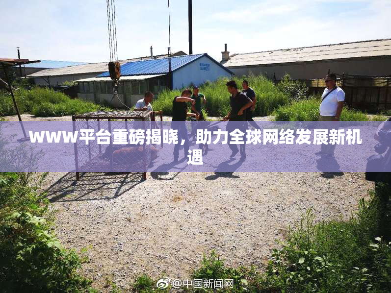 WWW平台重磅揭晓，助力全球网络发展新机遇