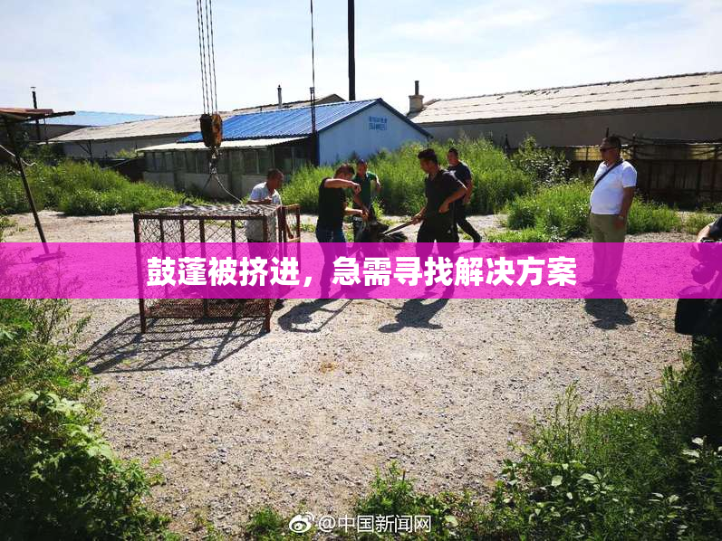 鼓蓬被挤进，急需寻找解决方案