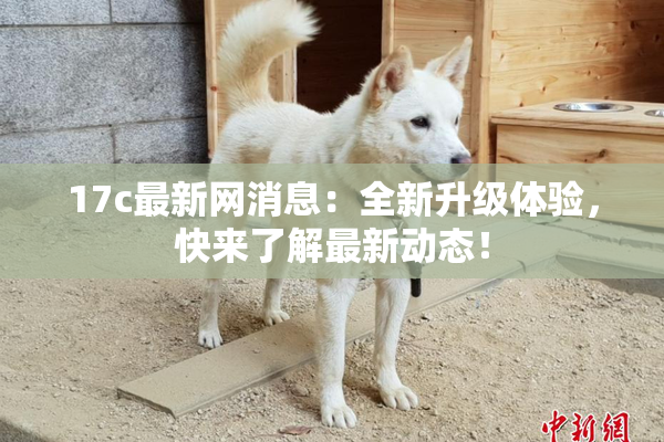 17c最新网消息：全新升级体验，快来了解最新动态！