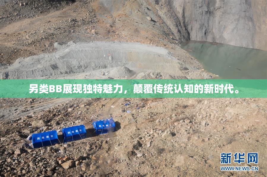 另类BB展现独特魅力，颠覆传统认知的新时代。