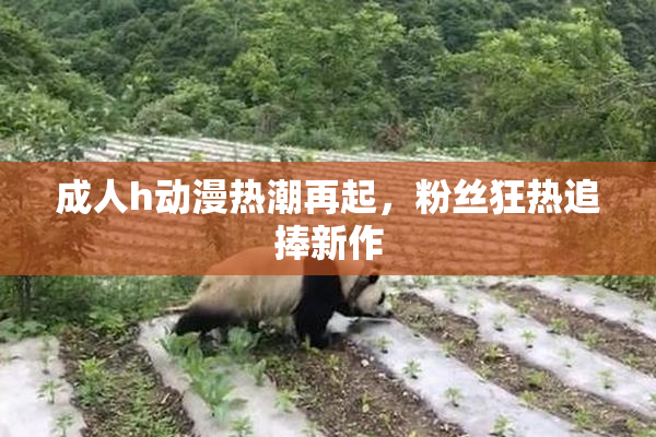 成人h动漫热潮再起，粉丝狂热追捧新作
