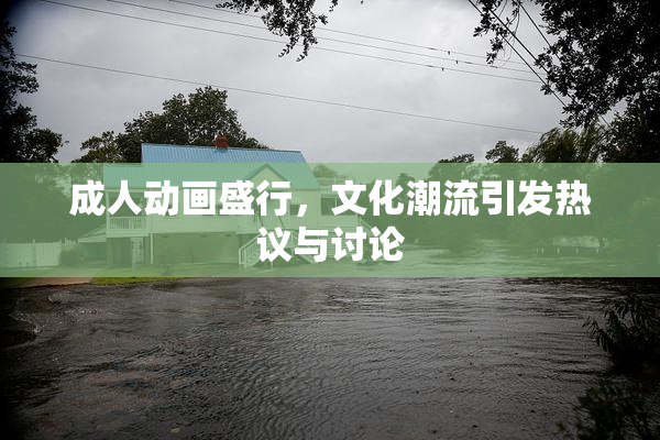 成人动画盛行，文化潮流引发热议与讨论