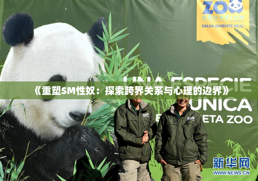 《重塑SM性奴：探索跨界关系与心理的边界》