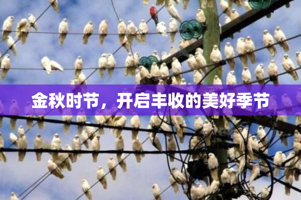 金秋时节，开启丰收的美好季节