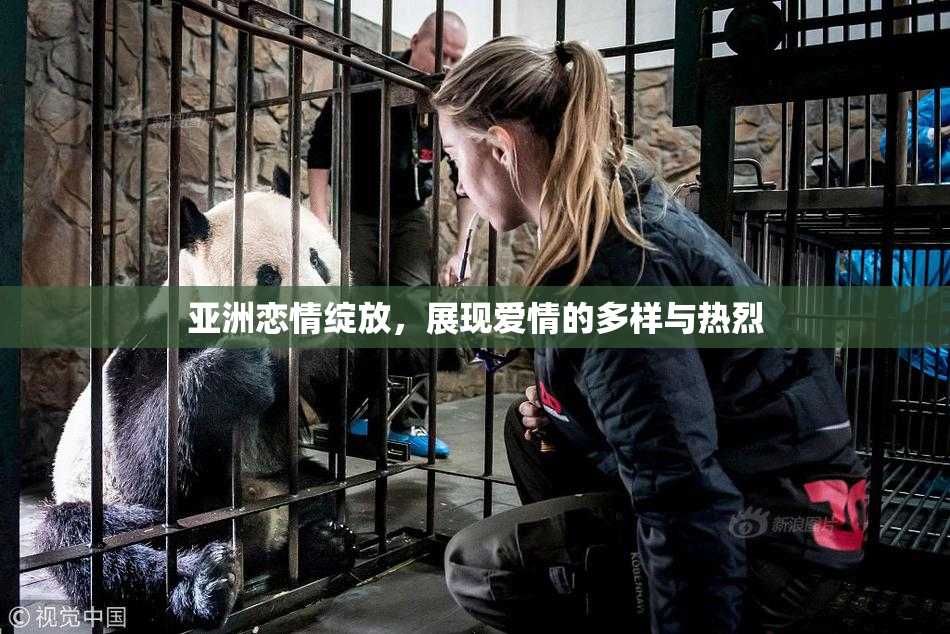 亚洲恋情绽放，展现爱情的多样与热烈