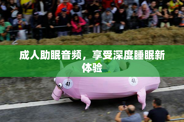 成人助眠音频，享受深度睡眠新体验