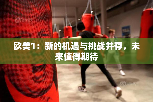 欧美1：新的机遇与挑战并存，未来值得期待