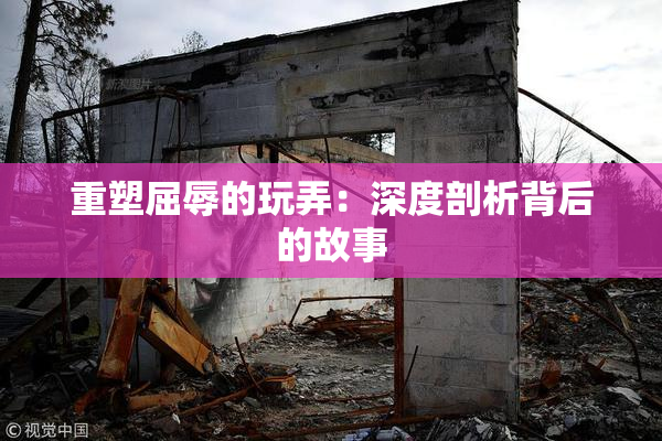 重塑屈辱的玩弄：深度剖析背后的故事