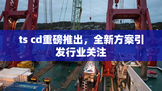 ts cd重磅推出，全新方案引发行业关注