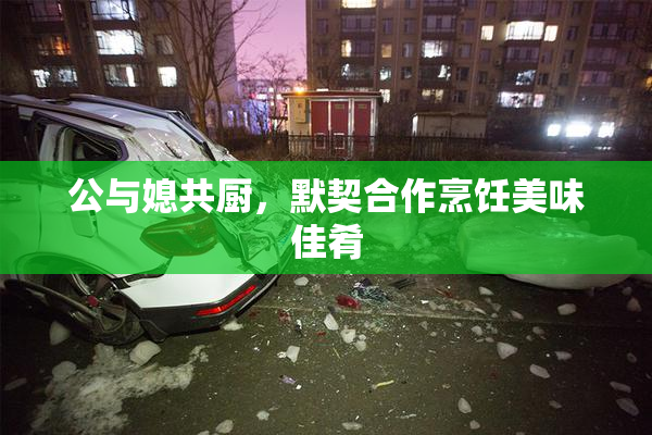 公与媳共厨，默契合作烹饪美味佳肴