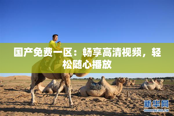 国产免费一区：畅享高清视频，轻松随心播放