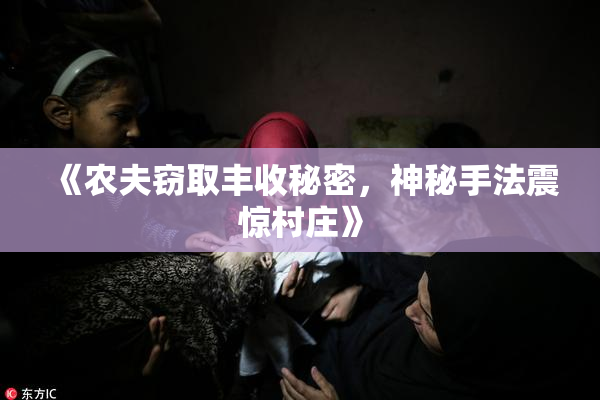 《农夫窃取丰收秘密，神秘手法震惊村庄》