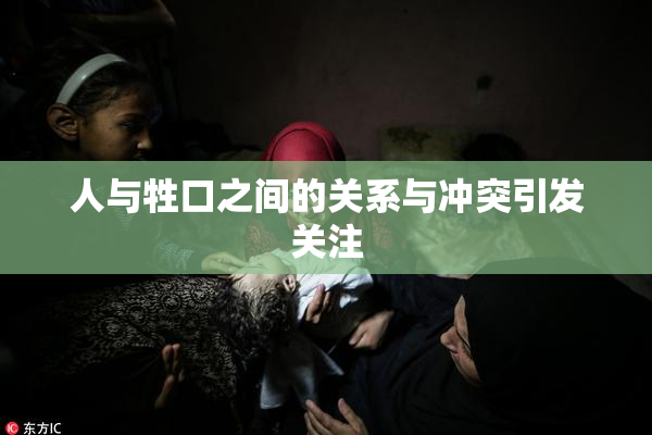 人与牲口之间的关系与冲突引发关注