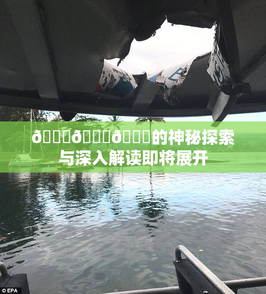 🍆🍑🔞的神秘探索与深入解读即将展开