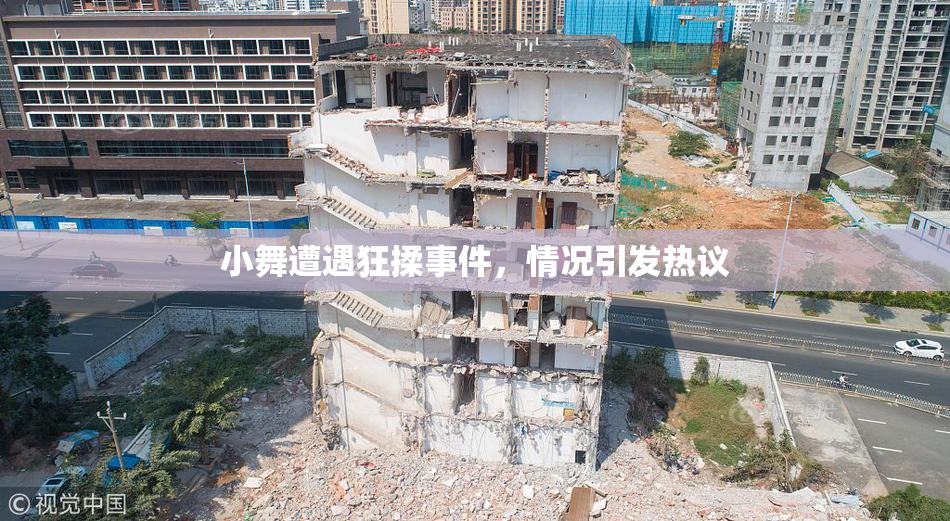 小舞遭遇狂揉事件，情况引发热议