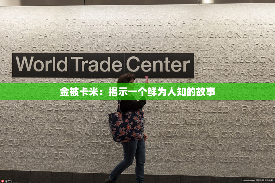金被卡米：揭示一个鲜为人知的故事
