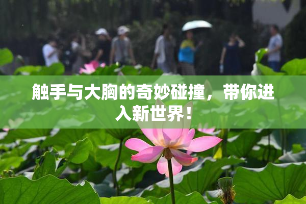 触手与大胸的奇妙碰撞，带你进入新世界！