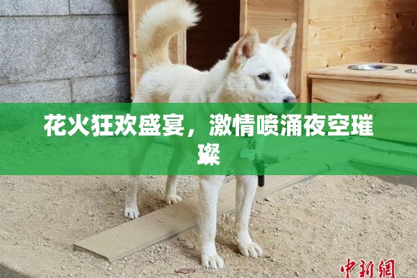 花火狂欢盛宴，激情喷涌夜空璀璨