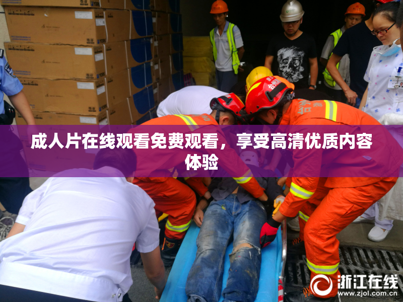 成人片在线观看免费观看，享受高清优质内容体验