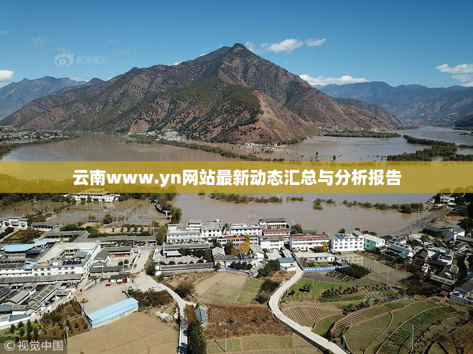 云南www.yn网站最新动态汇总与分析报告