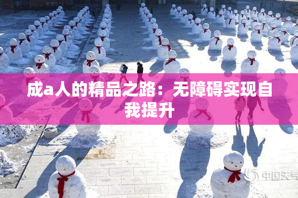成a人的精品之路：无障碍实现自我提升