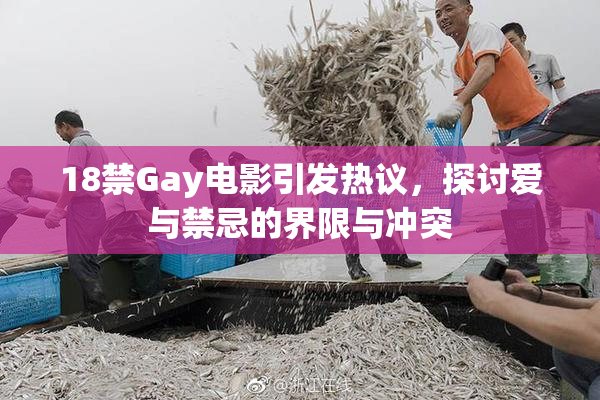18禁Gay电影引发热议，探讨爱与禁忌的界限与冲突