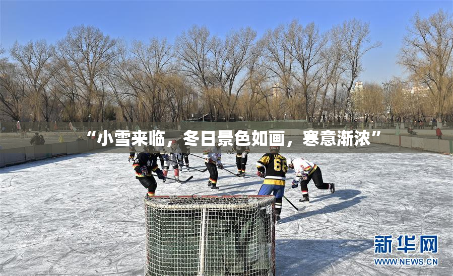 “小雪来临，冬日景色如画，寒意渐浓”