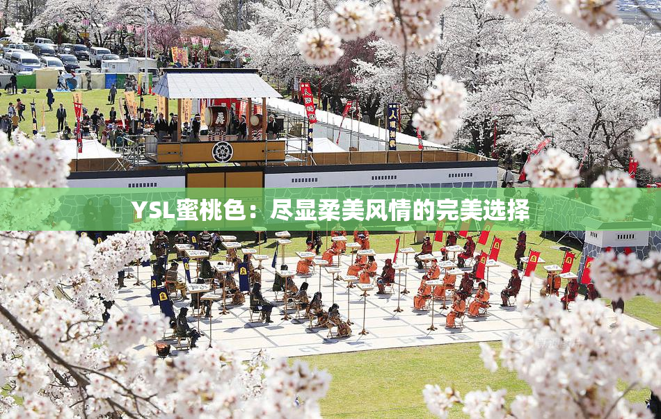 YSL蜜桃色：尽显柔美风情的完美选择