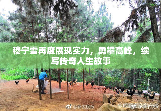 穆宁雪再度展现实力，勇攀高峰，续写传奇人生故事