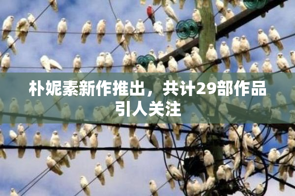 朴妮素新作推出，共计29部作品引人关注