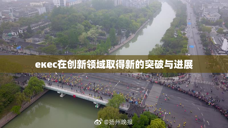 екес在创新领域取得新的突破与进展