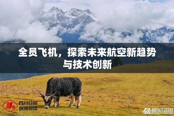 全员飞机，探索未来航空新趋势与技术创新