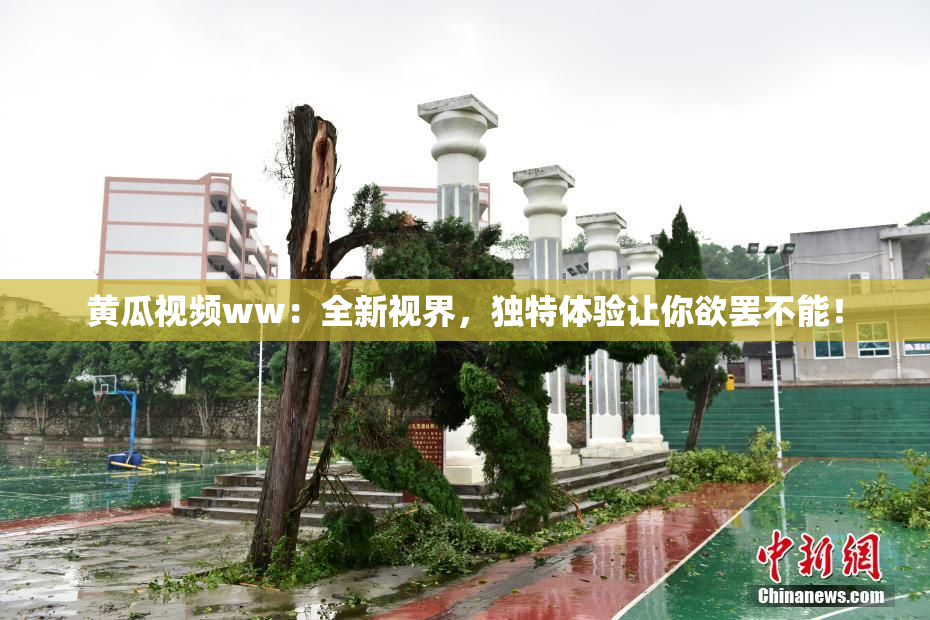 黄瓜视频ww：全新视界，独特体验让你欲罢不能！
