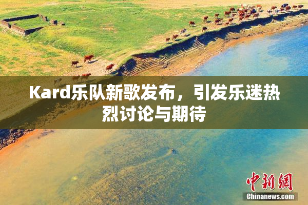 Kard乐队新歌发布，引发乐迷热烈讨论与期待