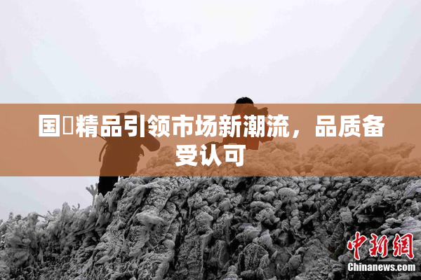 国產精品引领市场新潮流，品质备受认可