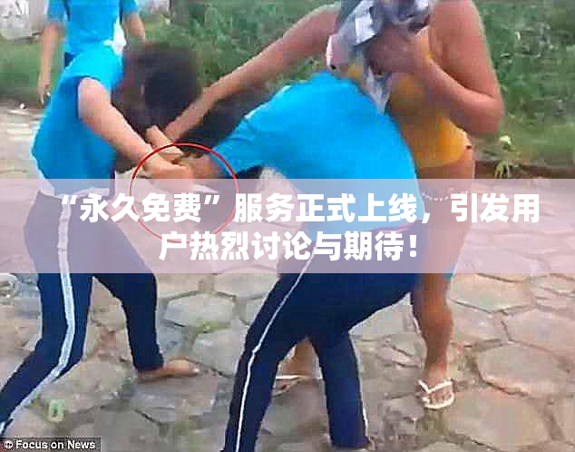 “永久免费”服务正式上线，引发用户热烈讨论与期待！