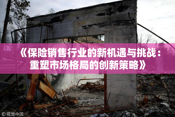 《保险销售行业的新机遇与挑战：重塑市场格局的创新策略》