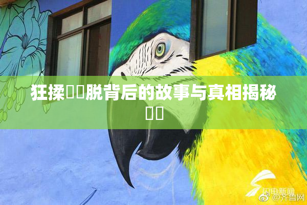 狂揉❌‌脱背后的故事与真相揭秘❌‌