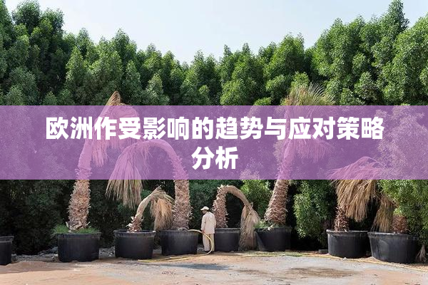 欧洲作受影响的趋势与应对策略分析