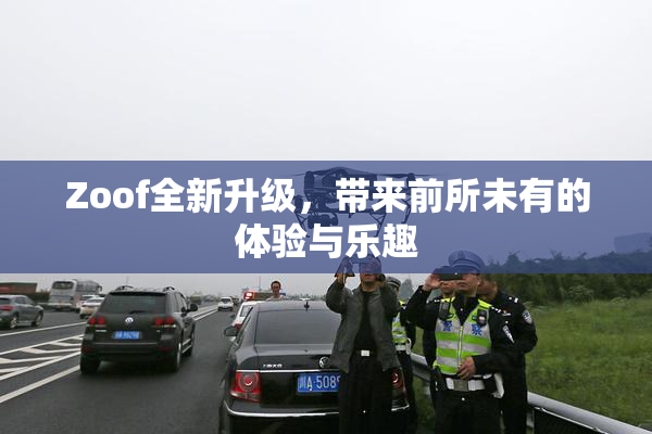 Zoof全新升级，带来前所未有的体验与乐趣