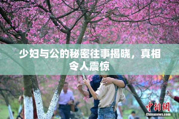 少妇与公的秘密往事揭晓，真相令人震惊